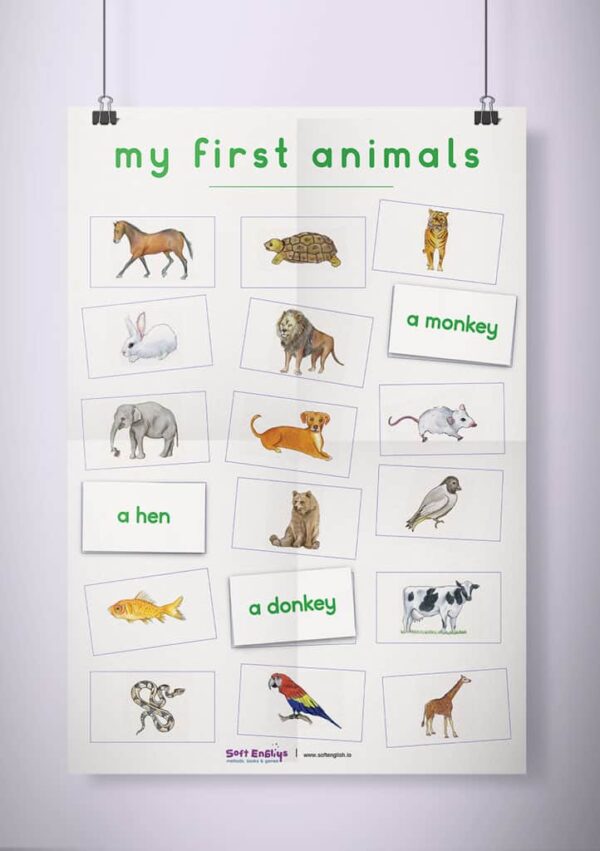 פוסטר שמשונית -  My First animals